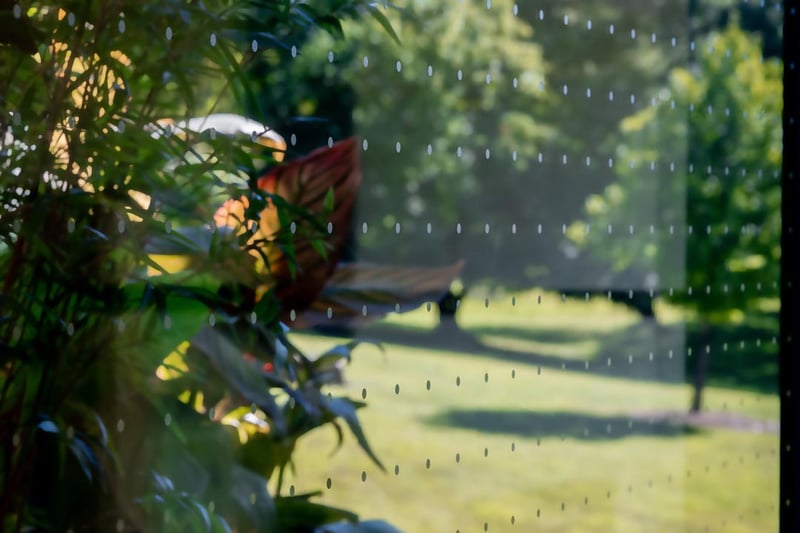 Creating New Sales Opportunity with Solar Bird Safety Film