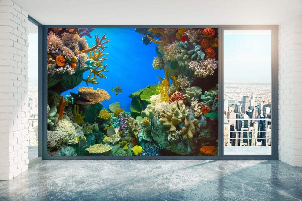 SOLYX® SX-IM702 Coral Community