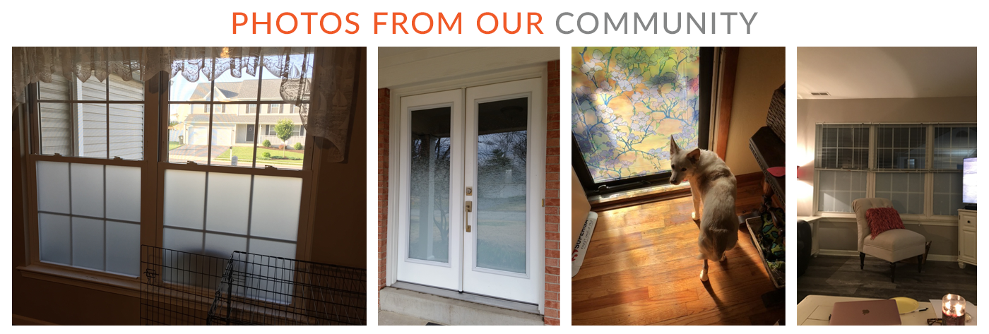 Photos from community