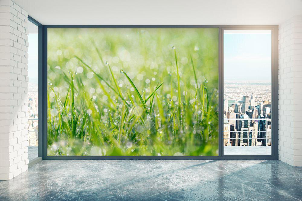 Window with window film