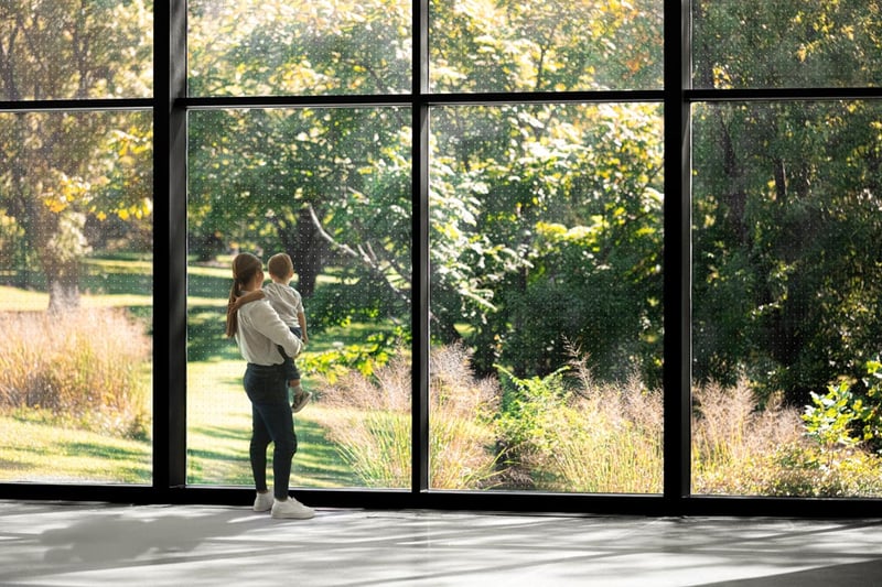 Protecting Your Home and Local Wildlife with Solar Bird Safety Film