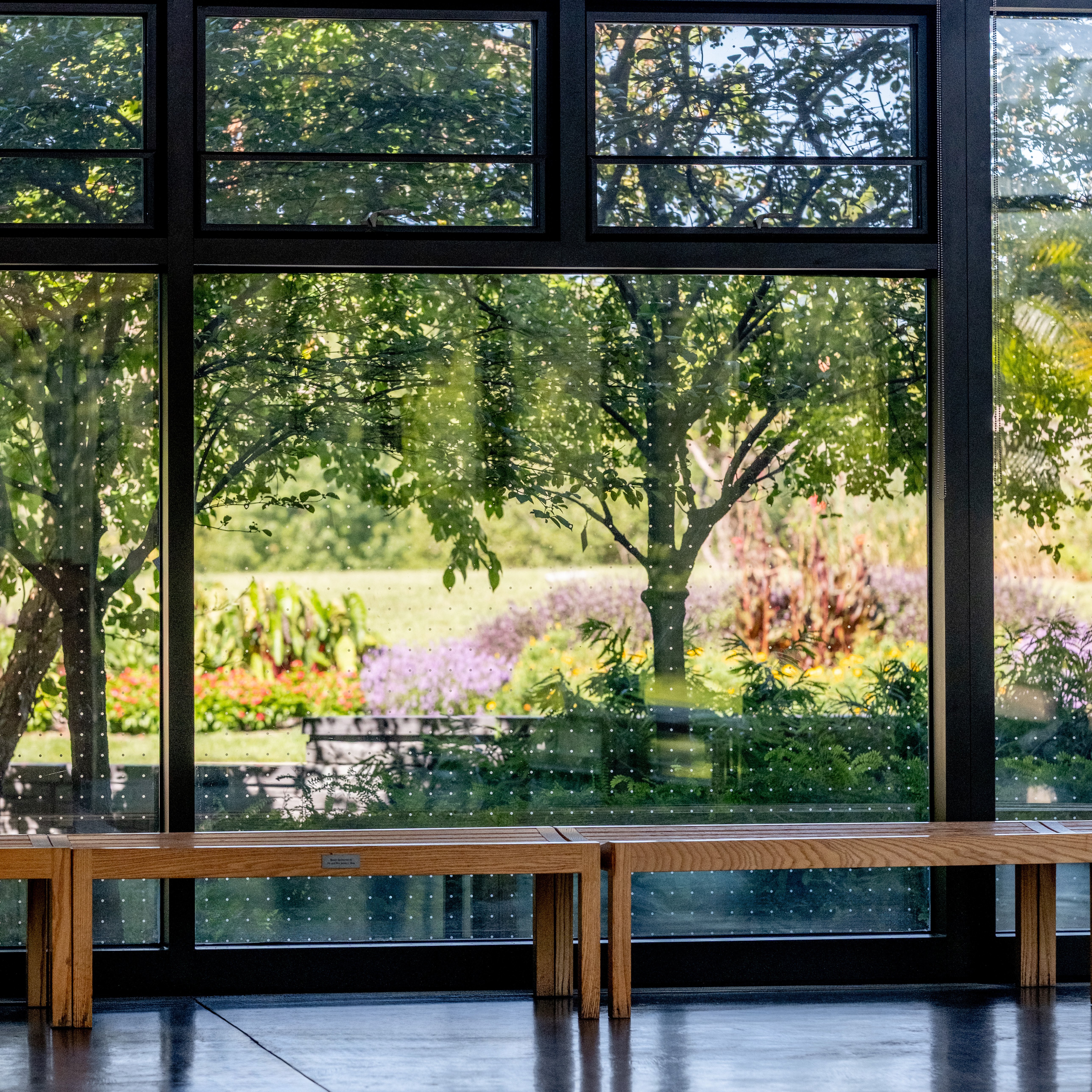 Solar bid safety film, viewed from the Cylburn Arboretum lobby