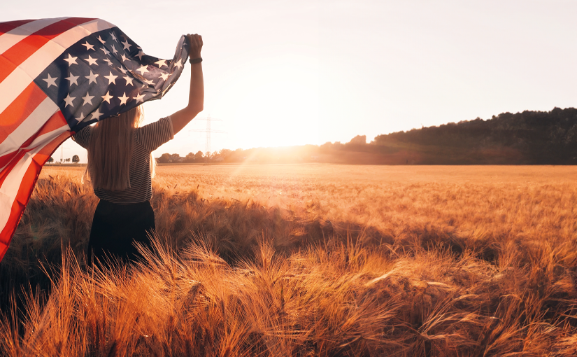 A person holding a flag in a field